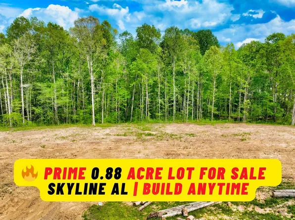 County Road 825, Scottsboro, AL 35768