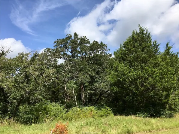 10079 Hampton Ct, Iola, TX 77861