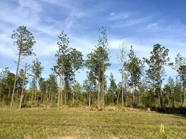 Sandy Loop Tract 5, Merryville, LA 70653