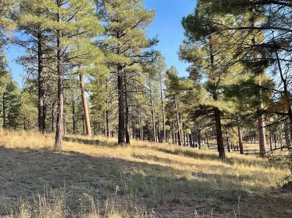 7337 Forest Service 122 Rd #122, Happy Jack, AZ 86024