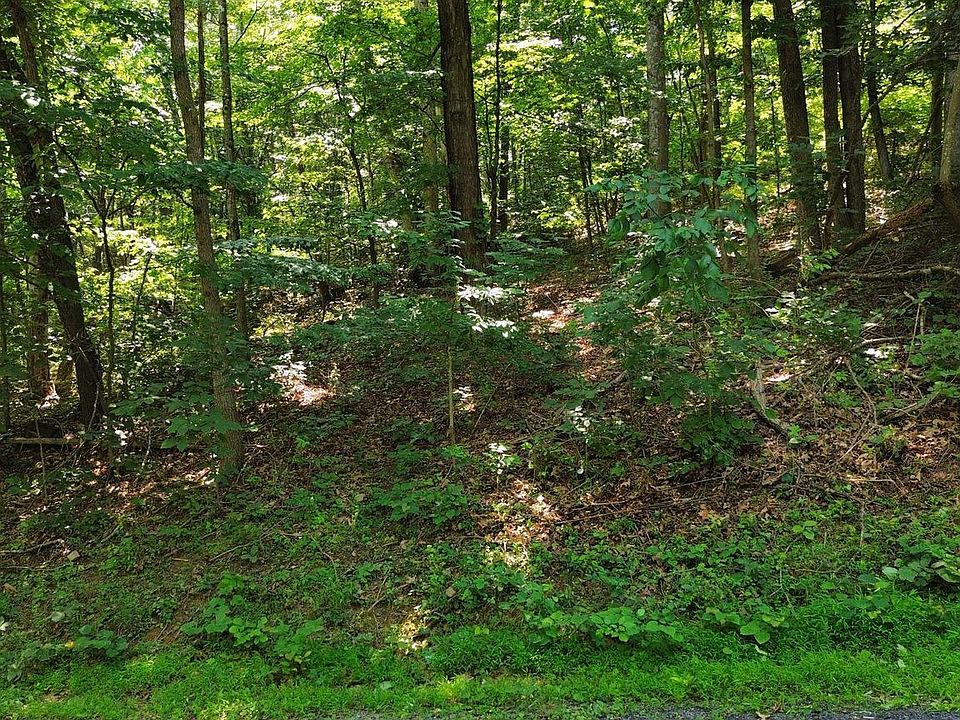 2nd image of Willow Ln