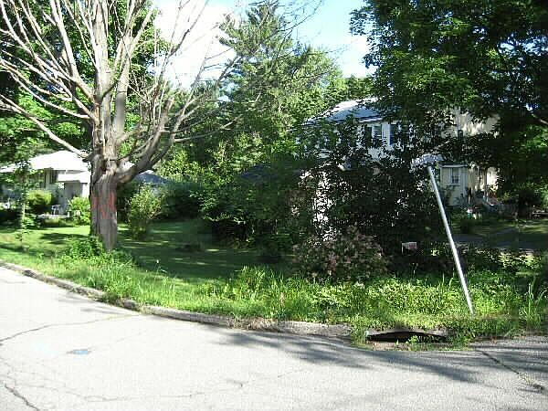 both houses corner shot