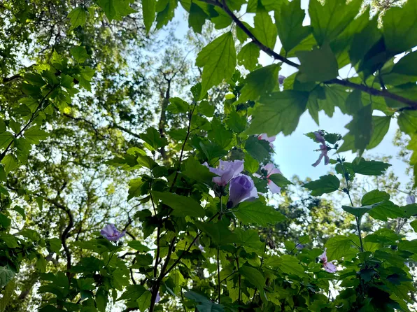 (undisclosed Address), East Hampton, NY 11937