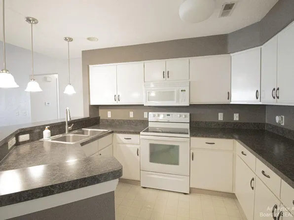 1532 Long Meadow Trl, Ann Arbor, MI 48108