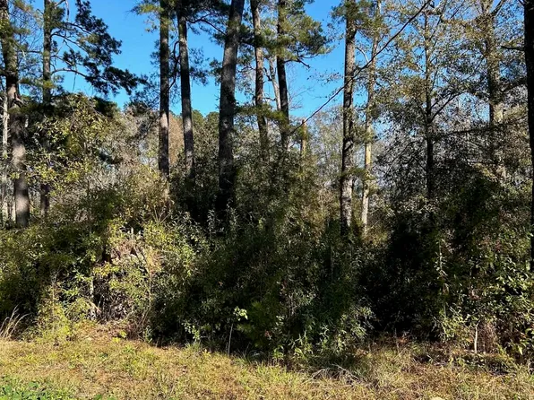 LOT 15 Magnolia Dr, Walker, LA 70785