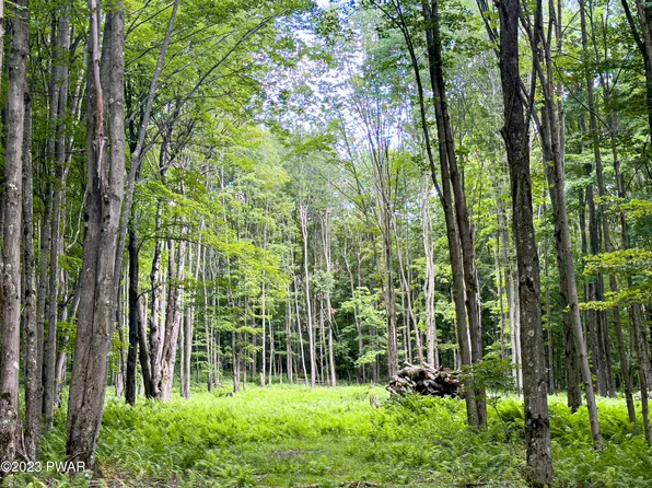 1 Charphil Dr, Newfoundland, PA 18445