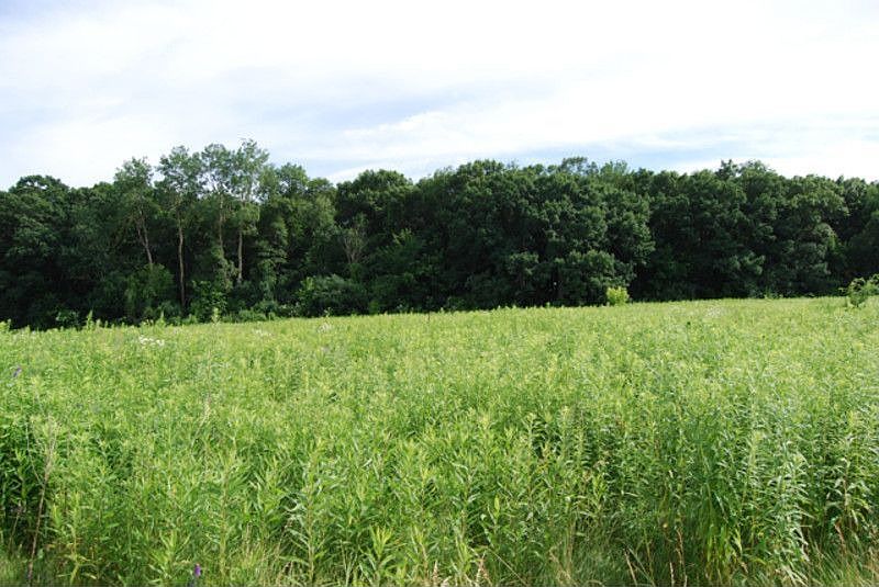 2nd image of 453 Windy Hill Rd