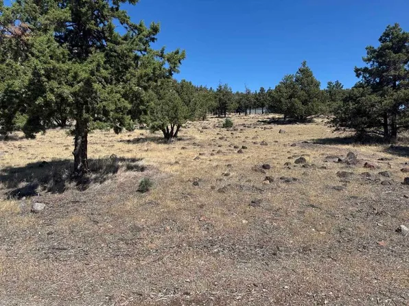9-2 Shoreline Dr Lot 97, Weed, CA 96094