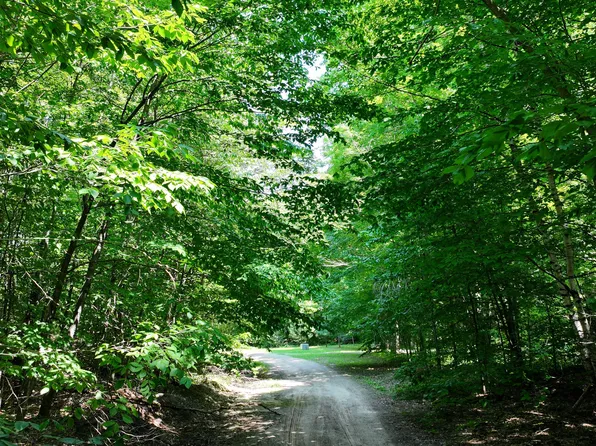 E Greenway Dr, Frederic, MI 49733