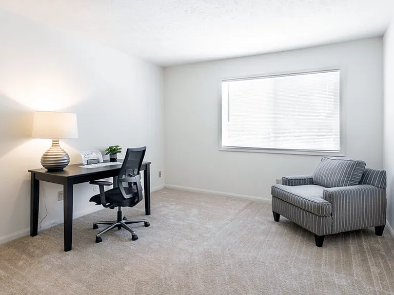 Cozy Plush Carpeting