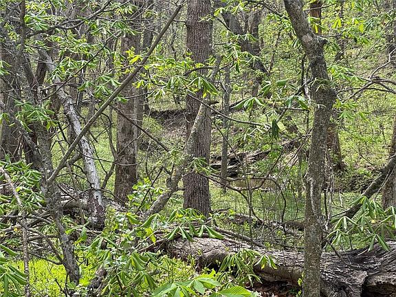 2nd image of NW 900th Rd