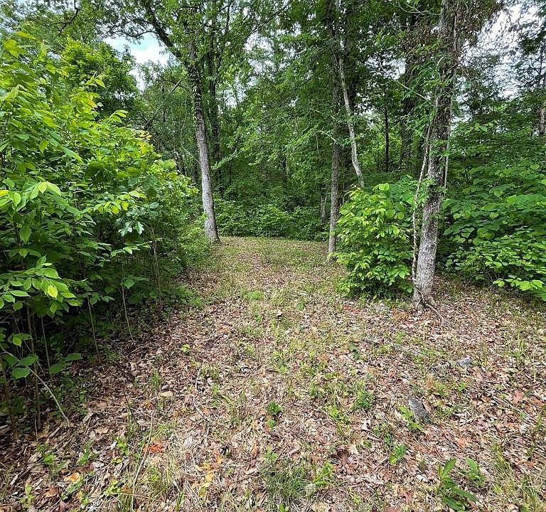 1st image of 0 French Broad River Rd Lot 2