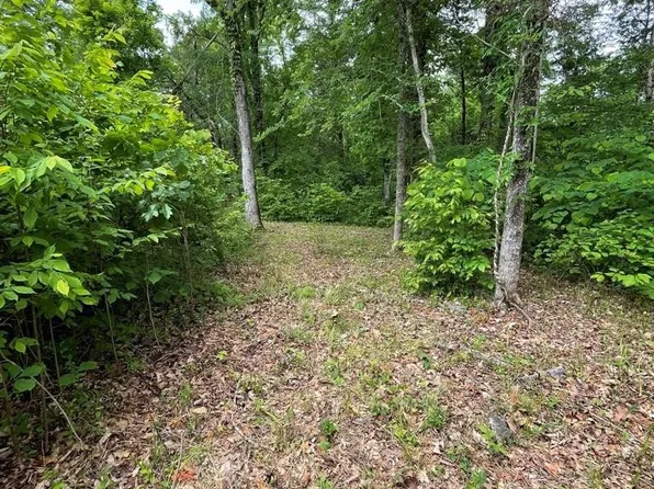 0 French Broad River Rd Lot 2, Seymour, TN 37865