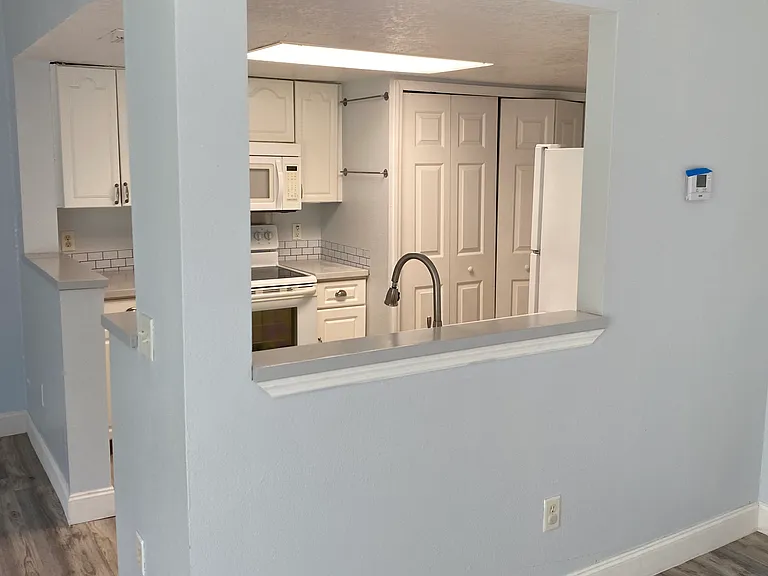 1335 Washington Palm Loop — Photo 10