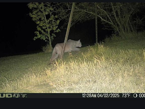 4th image of 31964 Herman Nerren Rd