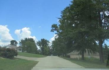 4th image of 102 River Pines Ln