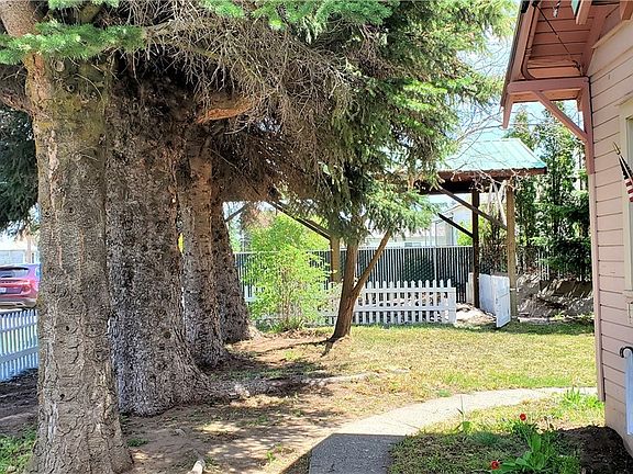 Mature growth trees in front yard.
