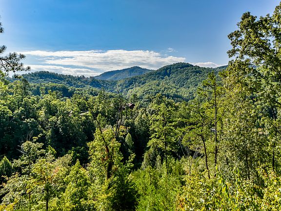 Back Deck View
