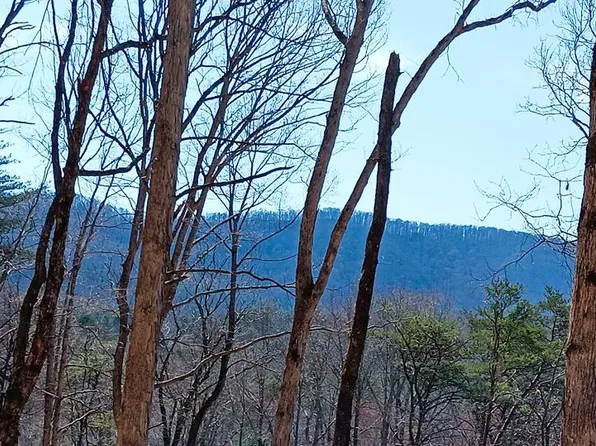 LOT 1A Colbert Mountain Rd, Blue Ridge, GA 30513