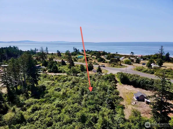 1 xxx Larkin, Grayland, WA 98547