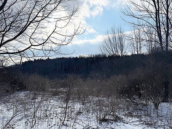 3rd image of L-8.06 Thayer Rd