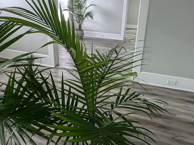 805 E Clay St — Photo 10