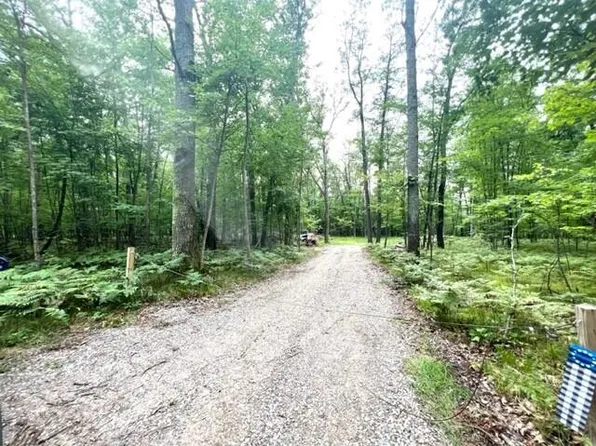 264 Tribal Trl, Roscommon, MI 48653