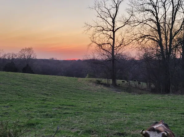 1 Haley Rd Lot 1, College Grove, TN 37046