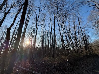0 Tommys Creek Rd, Odd, WV, 25902
