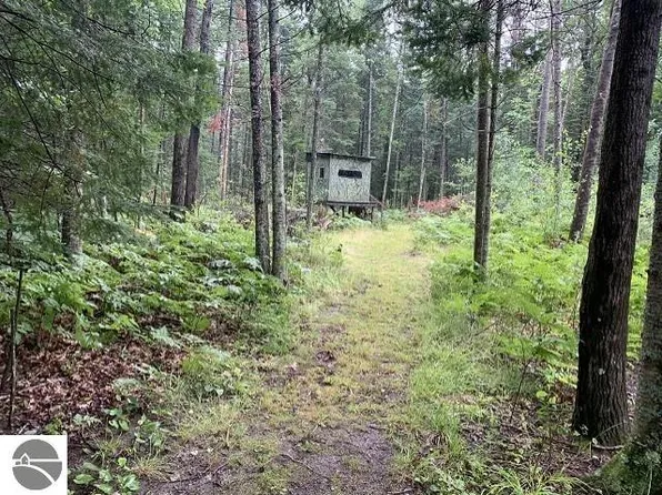 0 Bass Lake Rd, Lupton, MI 48635