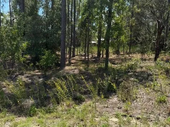 Oak Lane Cir Lot 6, Ocala, FL 34472