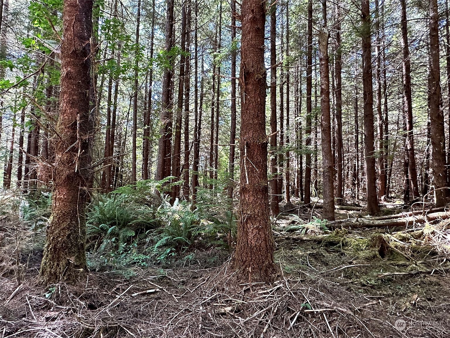 0 American Mill Road, Cosmopolis, WA 98537 MLS 2154885 Zillow