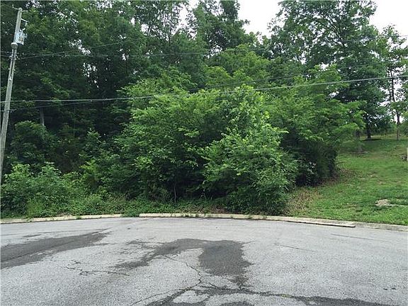 3rd image of 1017 Brookview Ct Lot 225