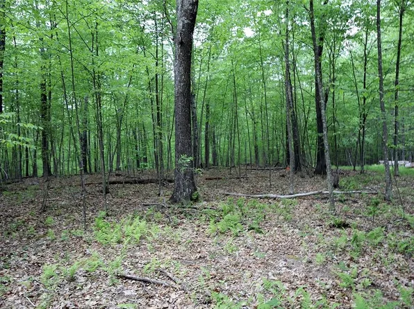 Nancy Lane W, Cochecton, NY 12726