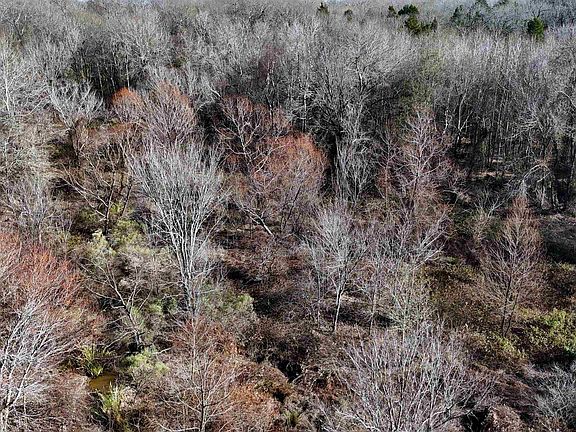 5th image of County Road 3801