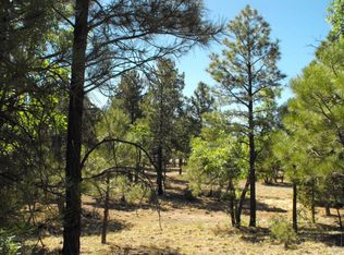 3801 Durango Dr, Happy Jack, AZ 86024