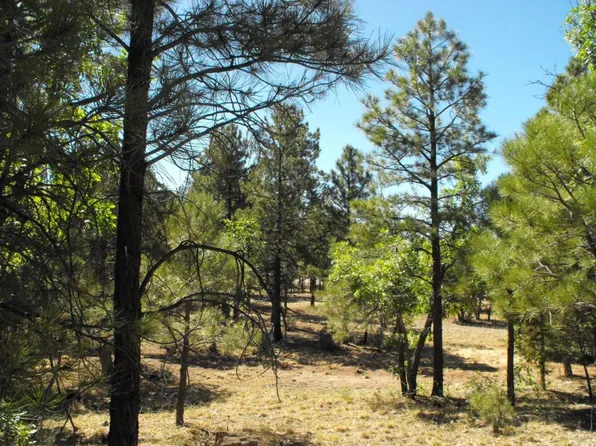 3801 Durango Dr, Happy Jack, AZ 86024