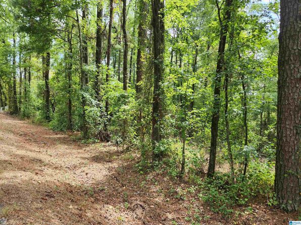 W County Road 10 #0, Montevallo, AL 35115
