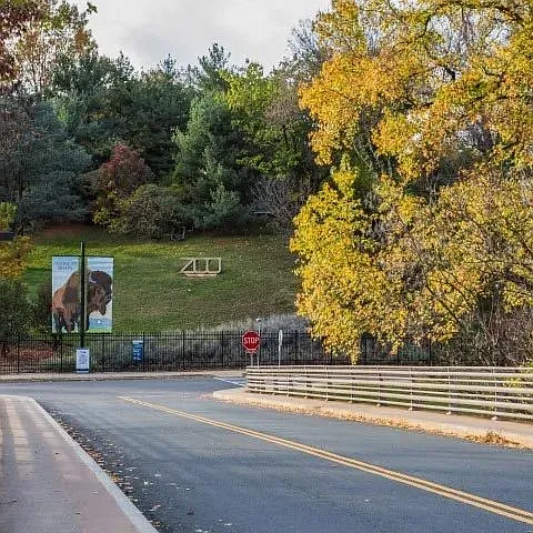 Harvard Village — Photo 40