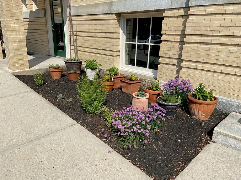 shared herb garden