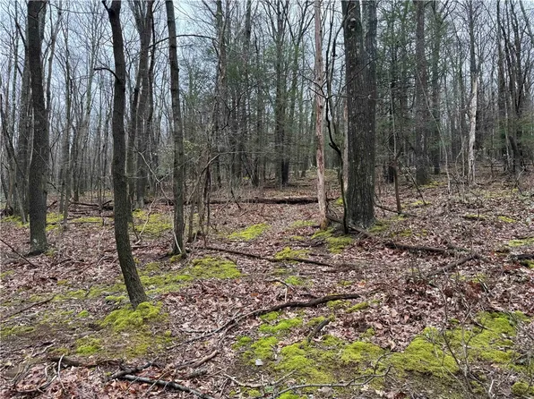 0 Club Rd, Berlin, PA 15530