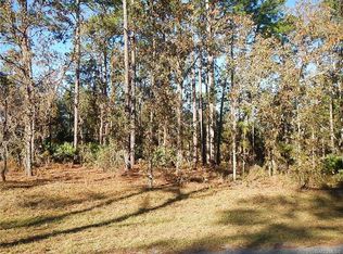 729 W Hummingbird Dr, Citrus Springs, FL 34434