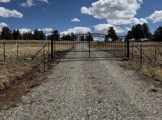 2841 Singletree Rd, Hartsel, CO 80449