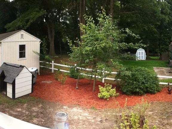 Awesome yard for dogs/kids