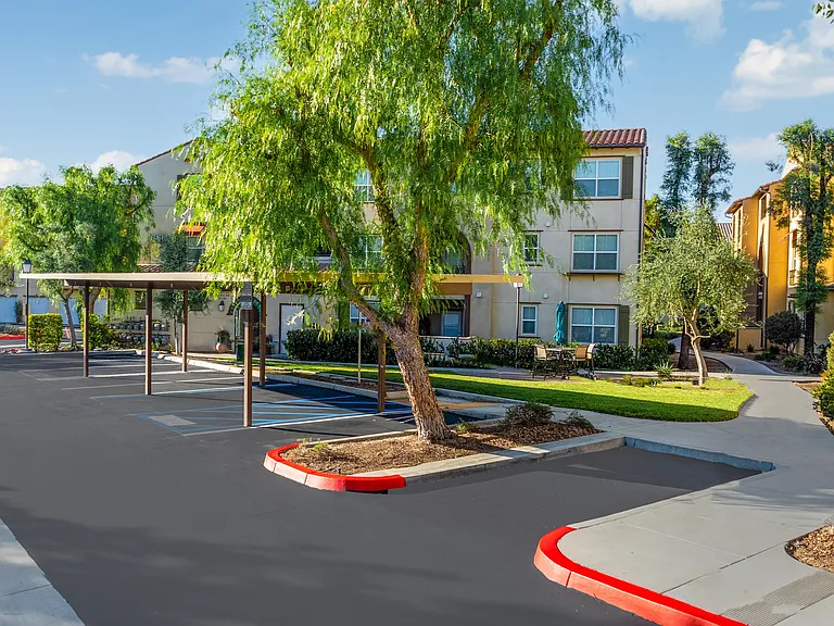 Paseos At Magnolia Luxury Apartments Homes — Photo 73