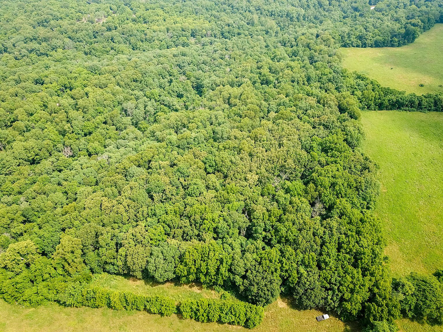 000 Union Ridge Drive, Clever, MO 65631 Zillow