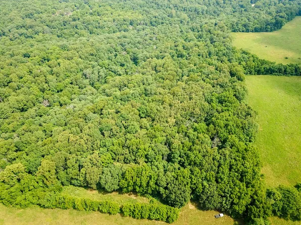 000 Union Ridge Drive, Clever, MO 65631