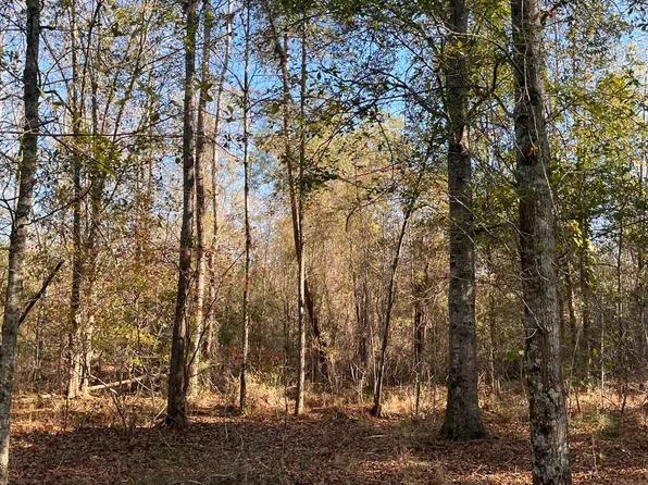 0 Trecer Rd, Cope, SC 29038