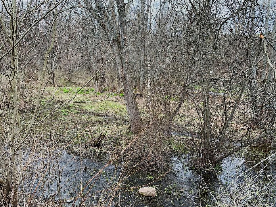 0 Cold Brook Rd, Homer, NY 13077 Zillow