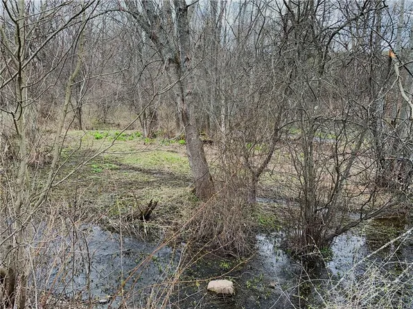 0 Cold Brook Rd, Homer, NY 13077